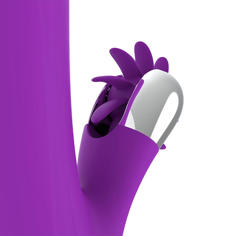 FUN FUNCTION - ROTATION DRÔLE DE LAPIN 2.0 – Image 7