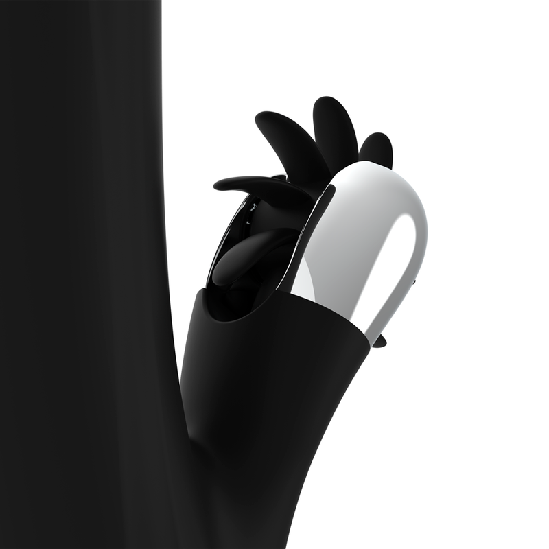 BLACK&SILVER - BUNNY STORM ROTATION VIBE - Image 7