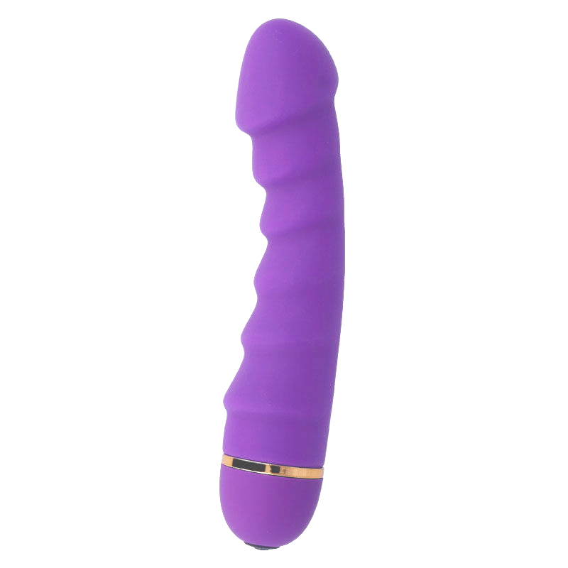 INTENSE - SALLY 20 VELOCIDADES SILICONE LILAC - Image 3