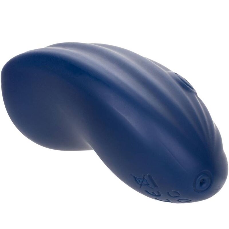 CALEXOTICS - CASHMERE VELOURS CURVE BLEU – Image 6