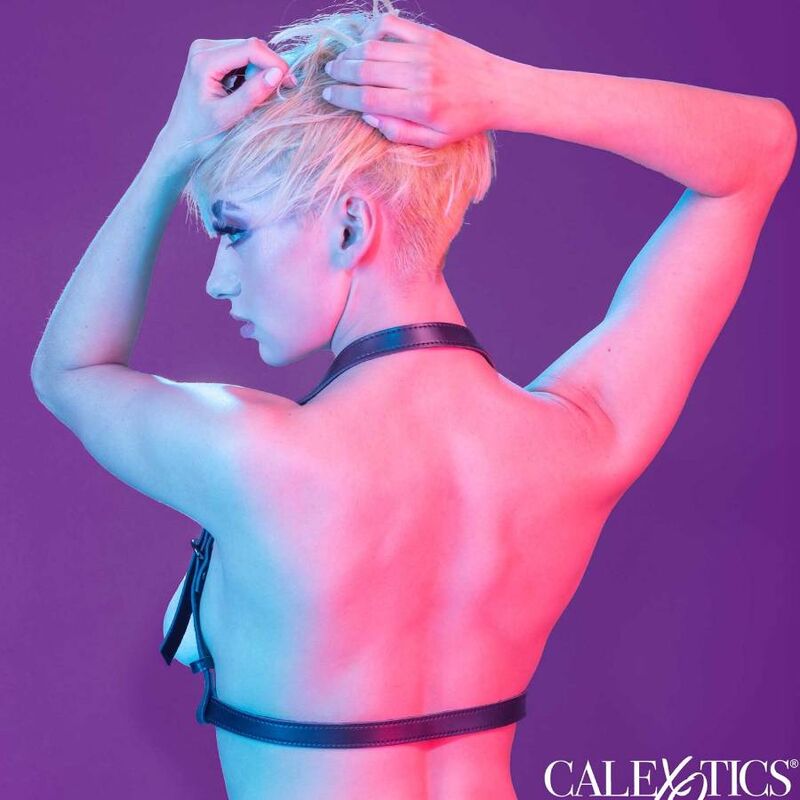 CALEXOTICS - EUPHORIA ARNÉS HATLER CON HEBILLA NEGRO - Imagen 2
