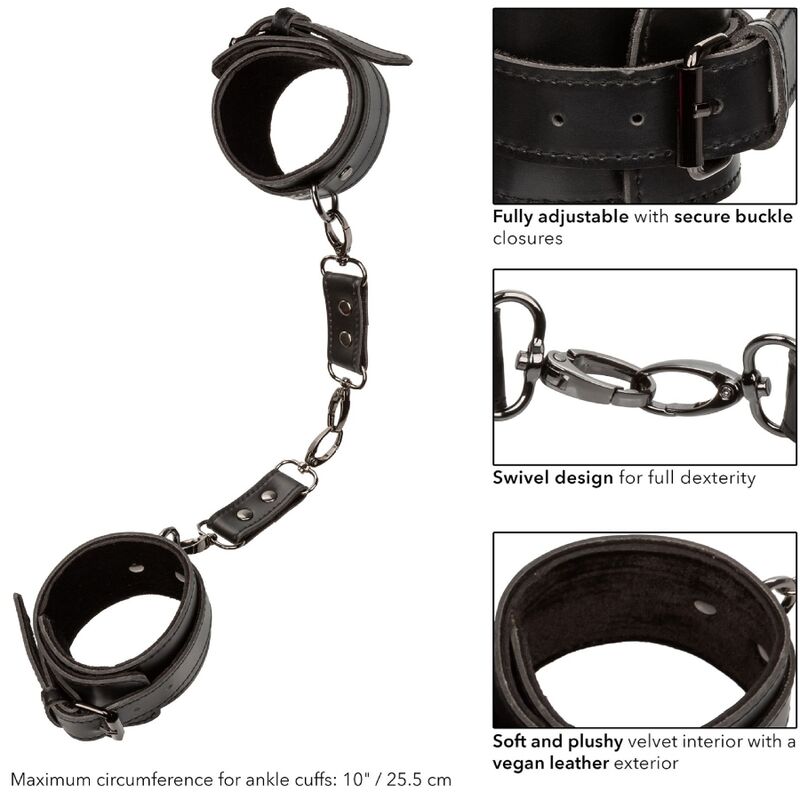 CALEXOTICS - EUPHORIA MANCHETTES DE CHEVILLE – Image 5