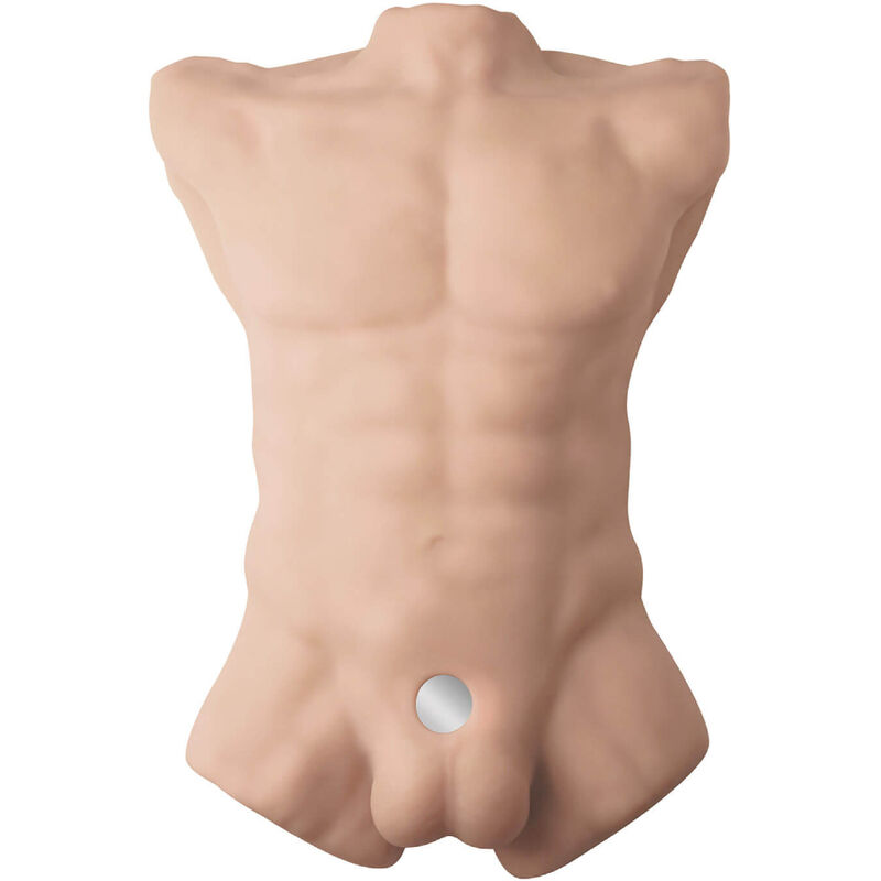 SILEXD - TORSE MASCULIN RÉALISTE APOLLO L – Image 2