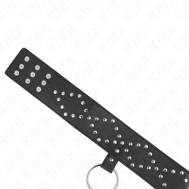 KINK - COLLIER 65 CM AVEC LAISSE AVEC CLOUS ARGENTÉS MODÈLE 3 RÉGLABLE 36-43 CM X 5 CM – Image 4