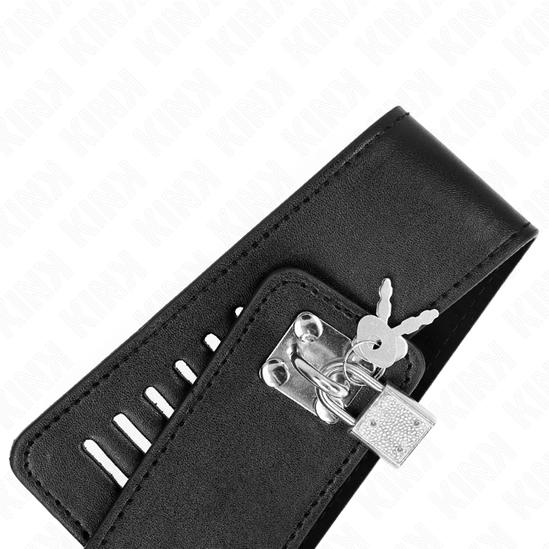 KINK - COLLAR CON CORREA 116 CM MODELO 2 AJUSTABLE 36-43 CM X 5 CM - Imagen 4