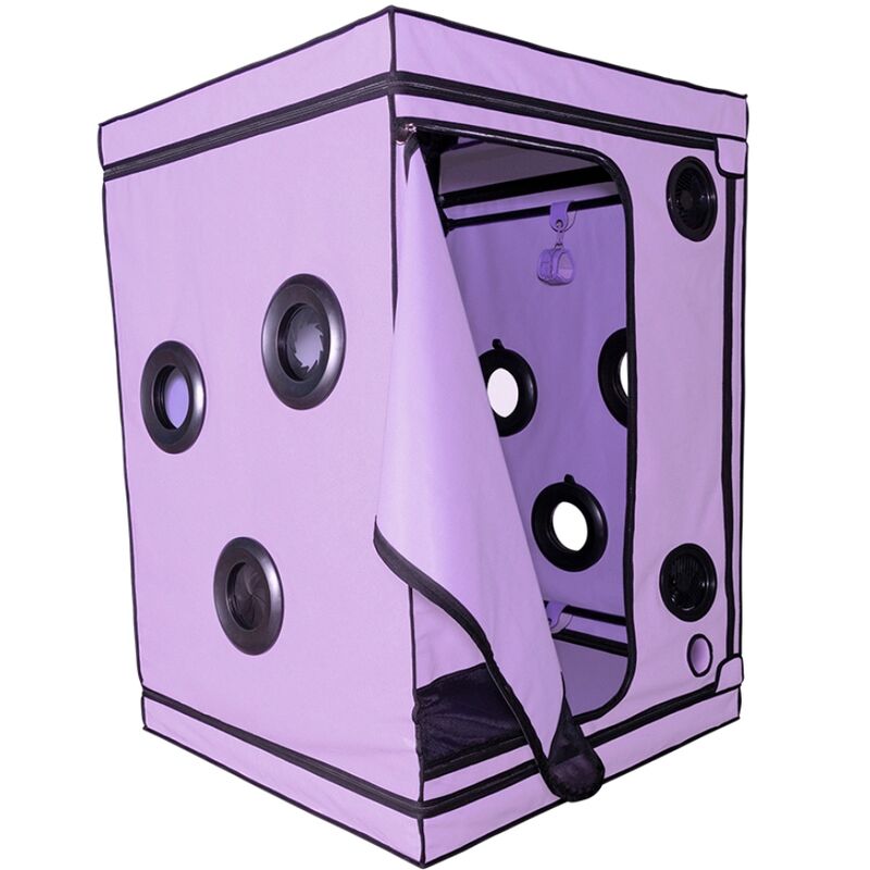 SECRET DOME - KINK CLUB CABINE SCANDALE PURPLE – Image 9