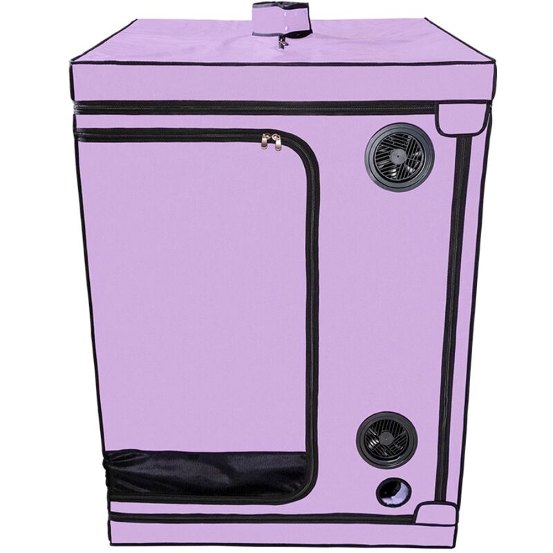 SECRET DOME - KINK CLUB CABINE SCANDALE PURPLE – Image 12