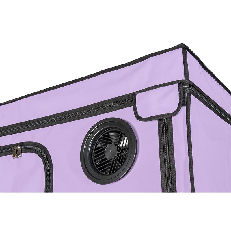 SECRET DOME - KINK CLUB CABINE SCANDALE PURPLE – Image 5