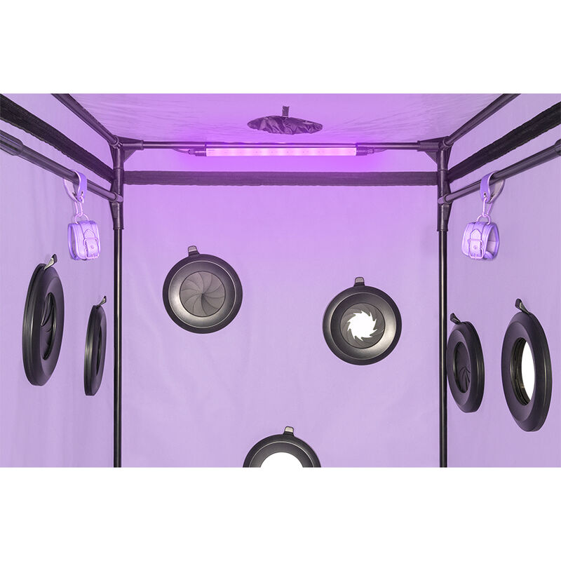 SECRET DOME - KINK CLUB CABINE SCANDALE PURPLE – Image 8