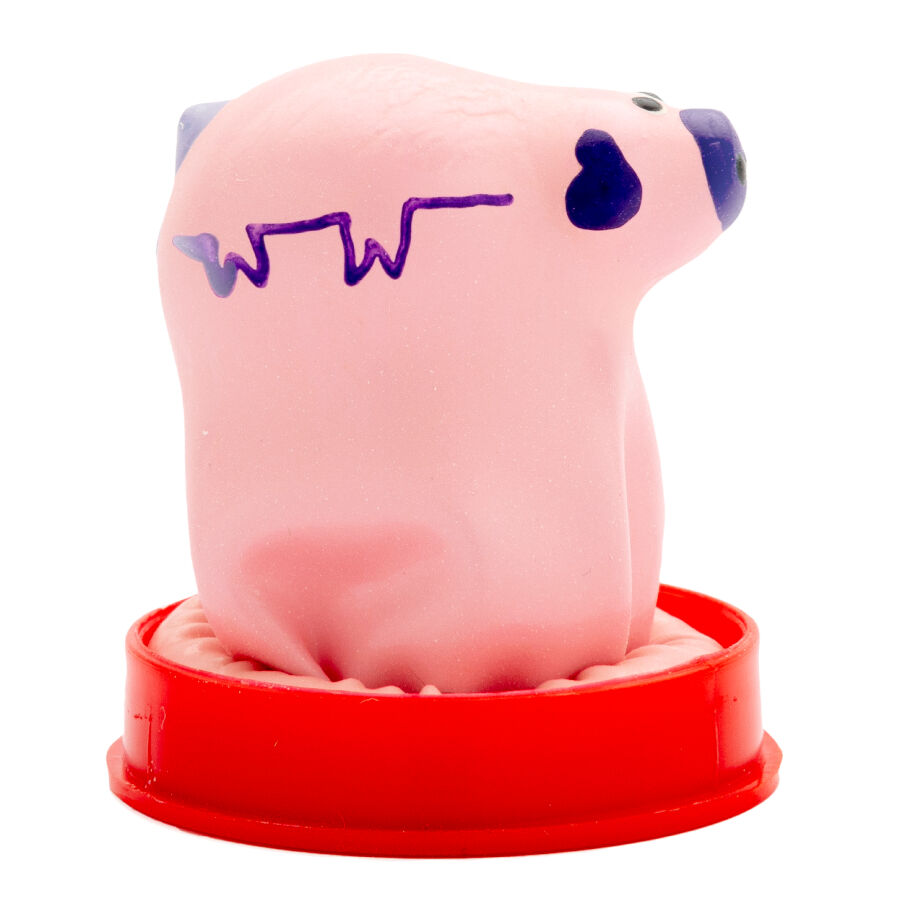 CONDOMERIE - HANDPAINTED NOVELTY CONDOMS SMALL PIG - Image 4