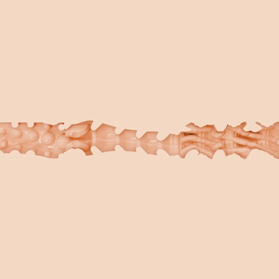 FLESHLIGHT GIRLS - BONNIE BLUE WITH 1K TEXTURE VAGINA - Image 2