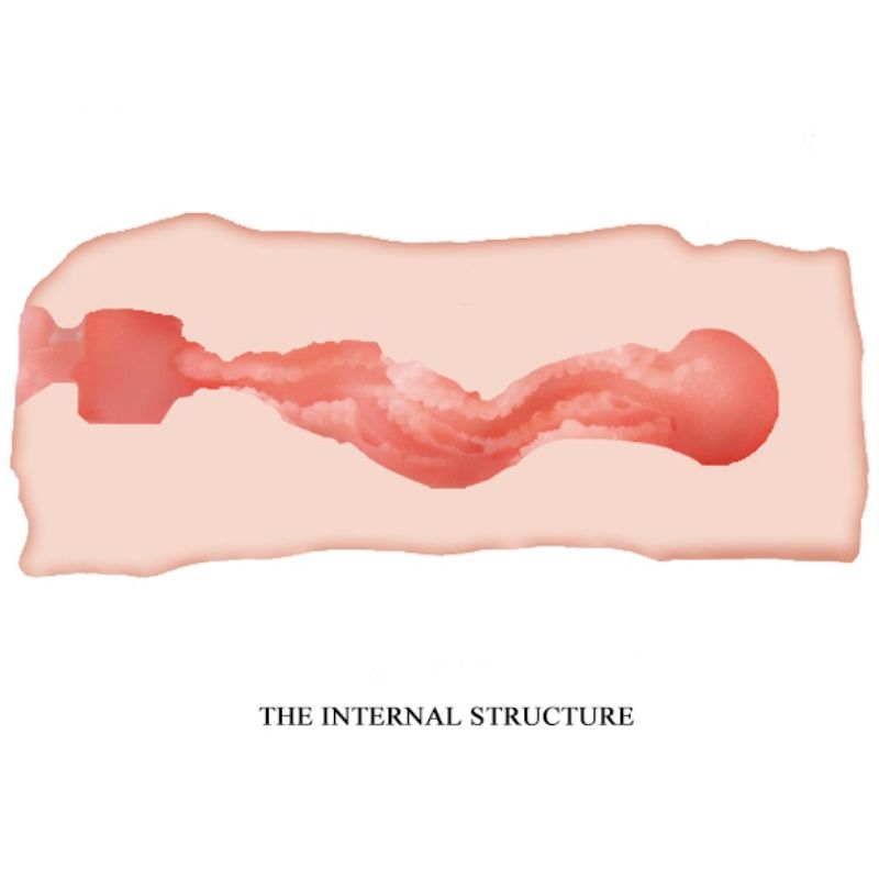 CRAZY BULL - JANE MASTURBADOR VAGINA 13.5 CM - Imagen 3