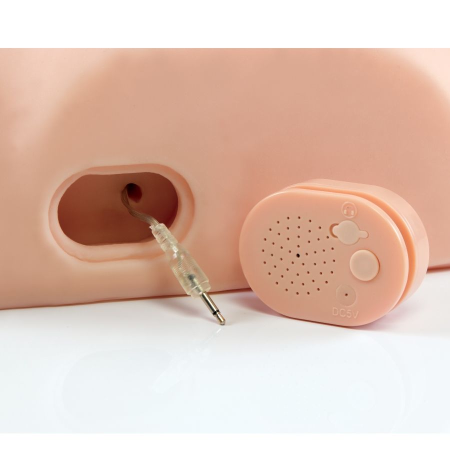 PDX MALE - MASCHIO INTERATTIVO SCOPALO SCIOCTO - immagine 3