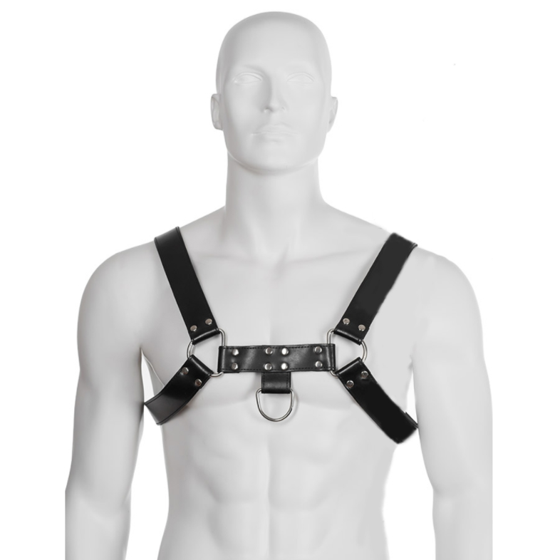 LEDERBODY ? KETTENHARNESS III – Bild 2