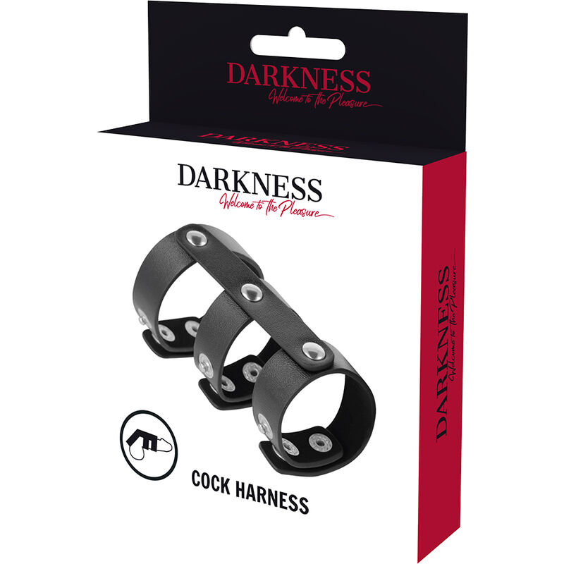 DARKNESS - DOUBLE ANNEAU DE PÉNIS ET TESTICULES EN CUIR RÉGLABLE – Image 5