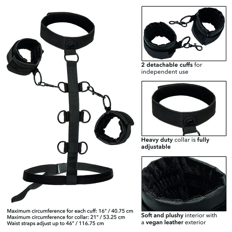 CALEXOTICS - BOUNDLESS SUJECCIÓN DEL CUERPO Y EL CUELLO - Imagen 6