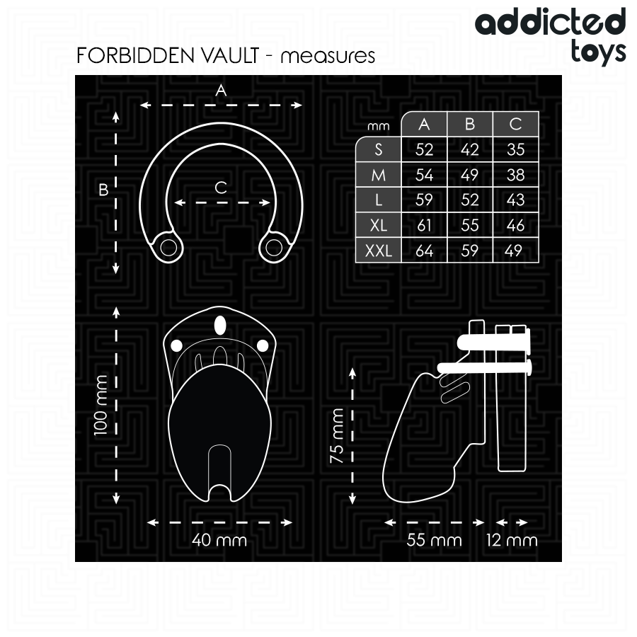 ADDICTED TOYS LOCKED - FORBIDDEN VAULT JAULA PARA PENE 10 CM - Imagen 2