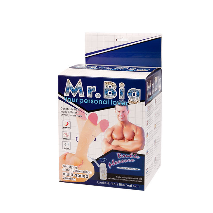 BAILE - MR BIG MASTURBADOR PENE Y ANO REALÍSTICO - Imagen 8