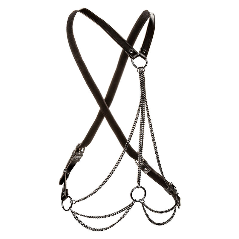 CALEXOTICS - EUPHORIA ARNÉS DE MÚLTIPLES CADENAS PREMIUM TALLA PLUS - Imagen 2