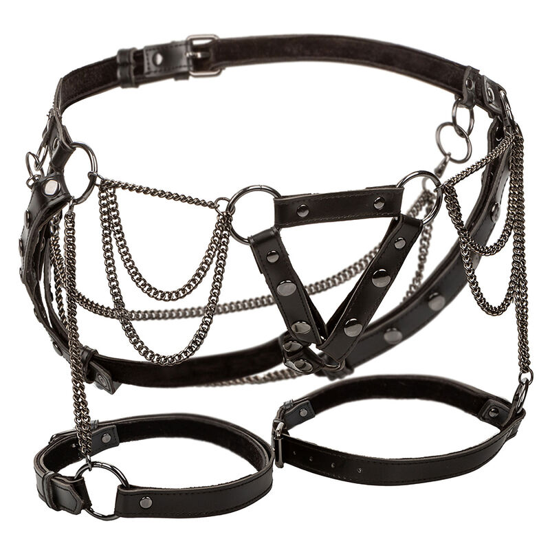CALEXOTICS - EUPHORIA ARNÉS DE MUSLO CON CADENAS PREMIUM TALLA PLUS - Imagen 2