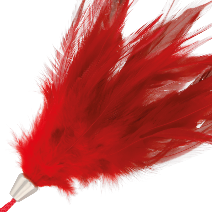 DARKNESS - PLUMA ESTIMULADORA ROJO 17CM - Imagen 2