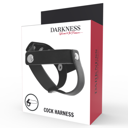 DARKNESS - ANILLO DE PIEL PARA PENE Y TESTICULOS - Imagen 5